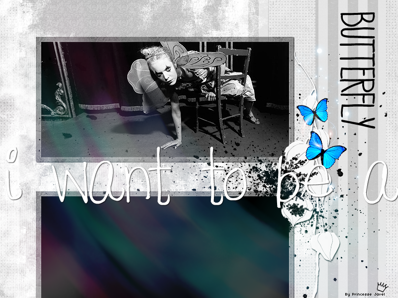 http://red.raisin.free.fr/avats,cards%20et%20autres/butterfly%20copie.png