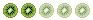 Lovely Kiwi Lovely Kiwi