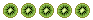Crazy Kiwi Crazy Kiwi